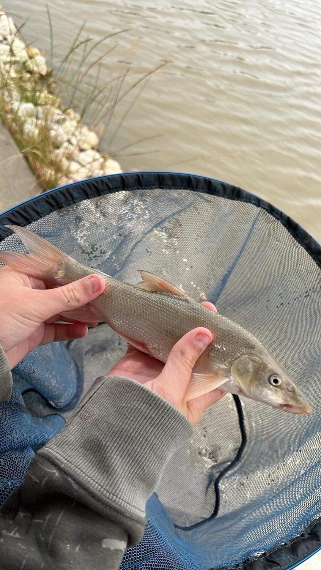 Lakeside Fishing Retreats Бостон Номер фото
