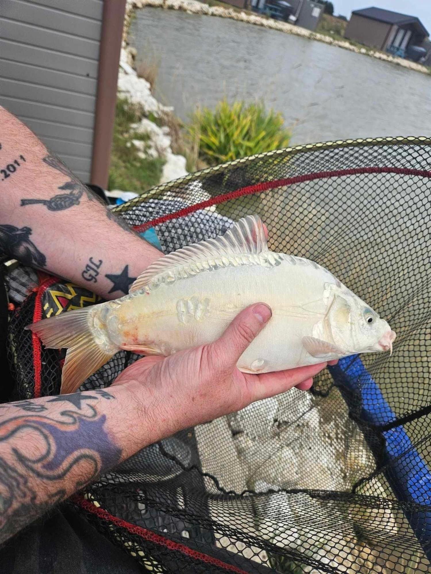 Lakeside Fishing Retreats Бостон Номер фото