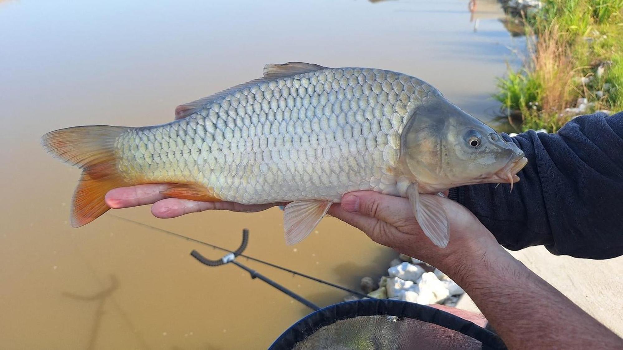 Lakeside Fishing Retreats Бостон Номер фото