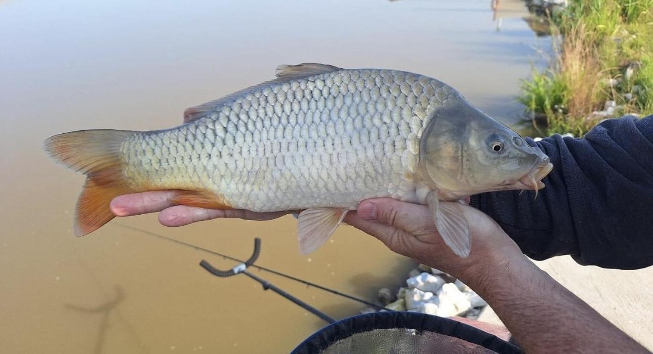 Lakeside Fishing Retreats Бостон Номер фото